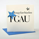 Welsh GCSE results Congratulations Card, Blue Stars, padded star embellished