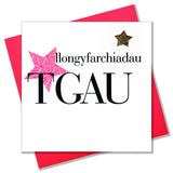 Welsh GCSE results Congratulations Card, Pink Stars, padded star embellished