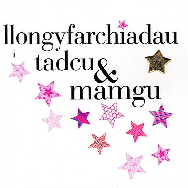 Welsh Congratulations Grandparent Card, Tadcu & Mamgu, padded star embellished