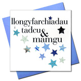 Welsh Congratulations Grandparents Card, Tadcu & Mamgu, padded star embellished