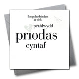 Welsh Wedding Anniversary Card, Silver Heart, fabric butterfly embellished