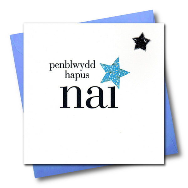 Welsh Nephew Birthday Card, Penblwydd Hapus Nai, padded star embellished