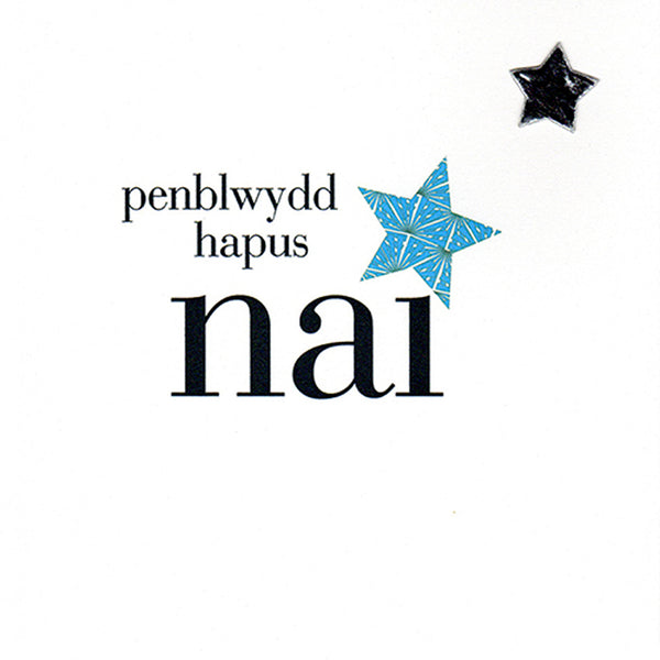 Welsh Nephew Birthday Card, Penblwydd Hapus Nai, padded star embellished