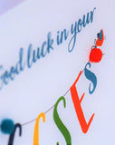 GCSE Exam Good Luck Card, Banner, Embellished with pompoms