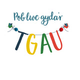 Welsh GCSE Exam Good Luck Card, Banner, Pompom Embellished