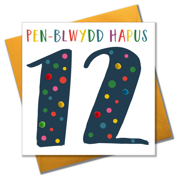 Welsh Age 12 Blue Birthday Card, Penblwydd Hapus, Embellished with Pompoms