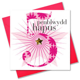 Welsh Birthday Card, Penblwydd Hapus, Age 5 Girl, Embellished with a padded star