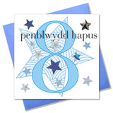 Welsh Birthday Card, Penblwydd Hapus, Age 8 Boy, Embellished with a padded star