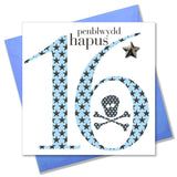 Welsh Birthday Card, Penblwydd Hapus, Age 16 Boy, Embellished with a padded star