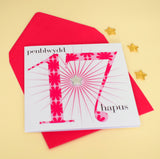 Welsh Birthday Card, Penblwydd Hapus, Age 17 Girl, padded star embellished