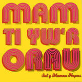 Welsh Mother's Day Card, Mam Ti Yw'r Orau, text foiled in shiny gold