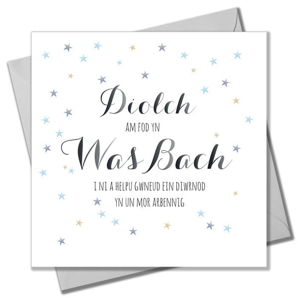 Welsh Wedding Card, Blue Stripes, Thank you for being our Usher