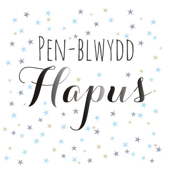 Welsh Birthday Card, Penblwydd Hapus, Make a Wish, Happy Birthday Make a Wish