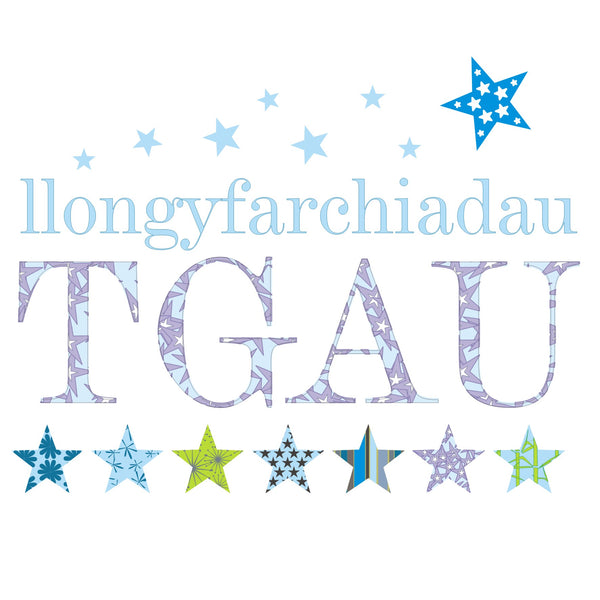 Welsh Congratulations TGAU GCSE Exam Results Card, Blue Stars