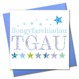 Welsh Congratulations TGAU GCSE Exam Results Card, Blue Stars