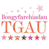 Welsh Congratulations GCSE TGAU Card, Exam Results, Pink Stars