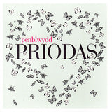 Welsh Wedding Card, Heart of butterflies, Happy Anniversary