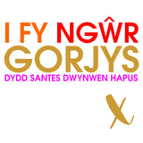 Welsh Valentines Day Card, Gorgeous Husband, text foiled in shiny gold