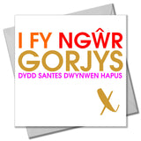 Welsh Valentines Day Card, Gorgeous Husband, text foiled in shiny gold