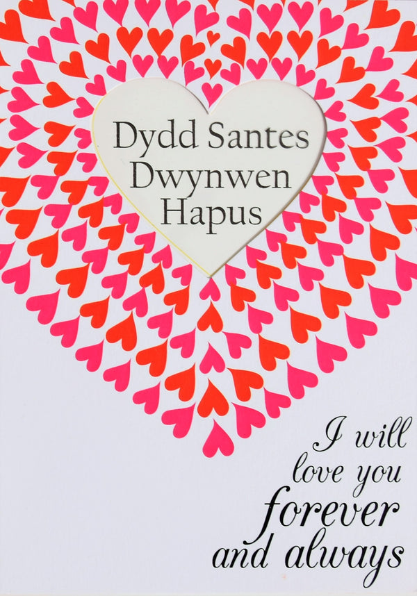 Welsh Valentine's Day Card, Forever and Always, See through acetate window